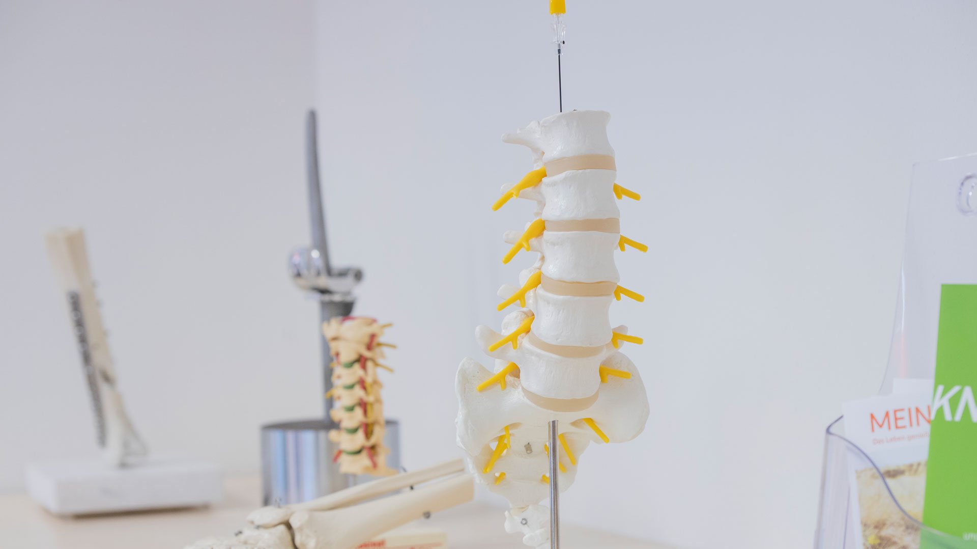 Zu sehen sind vercshiedene Knochen-Modelle auf einer weißen Anrichte in einem Behandlungszimmer - der Fokus liegt auf einem Modell der Lendenwirbelsäule