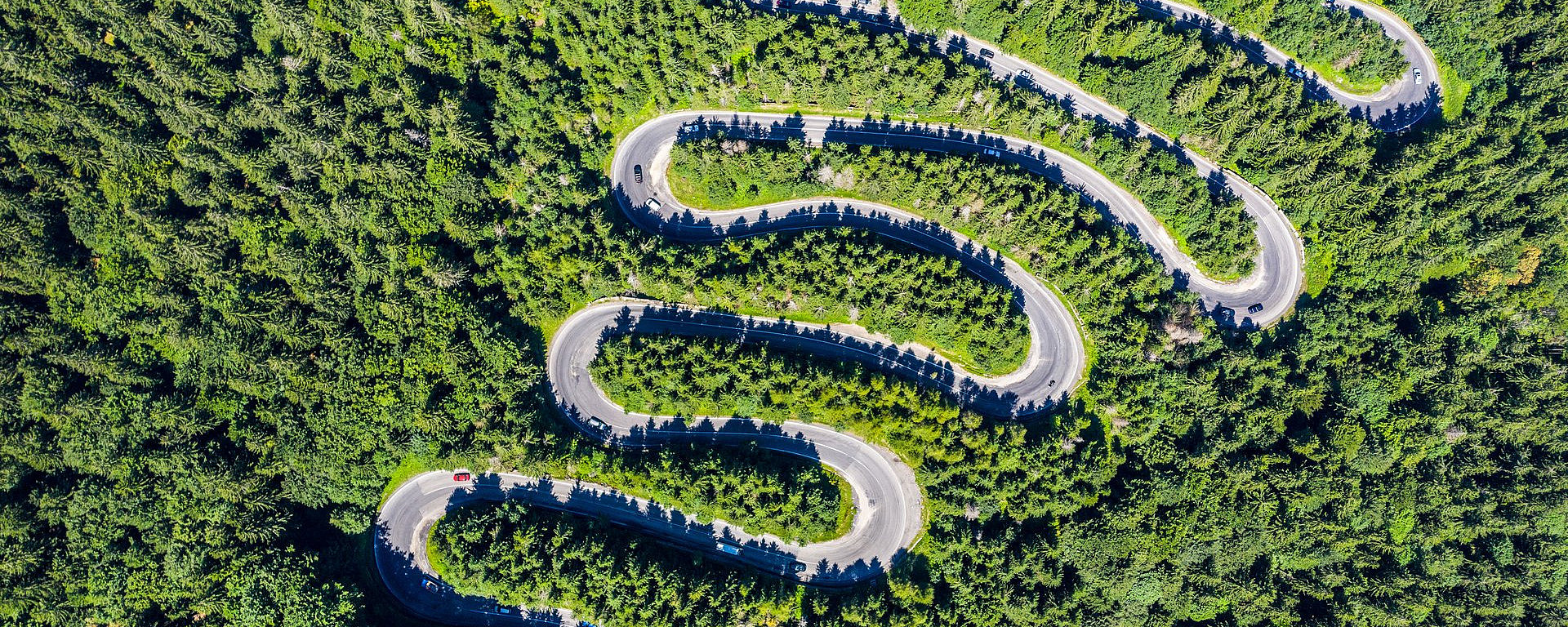 Eine Luftaufnahme von Serpentinen im Wald